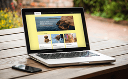 Showcase website
